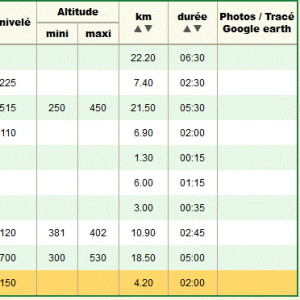 info document